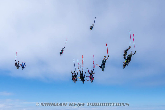 NKP-Flamingo Fest 2026-NKP09943