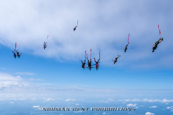 NKP-Flamingo Fest 2026-NKP09945