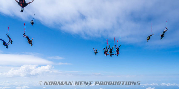 NKP-Flamingo Fest 2026-NKP09949