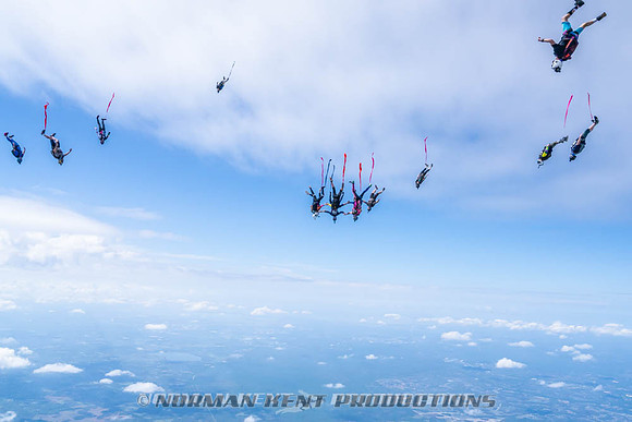 NKP-Flamingo Fest 2026-NKP09947