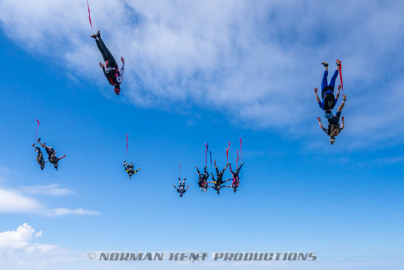 NKP-Flamingo Fest 2026-NKP09954