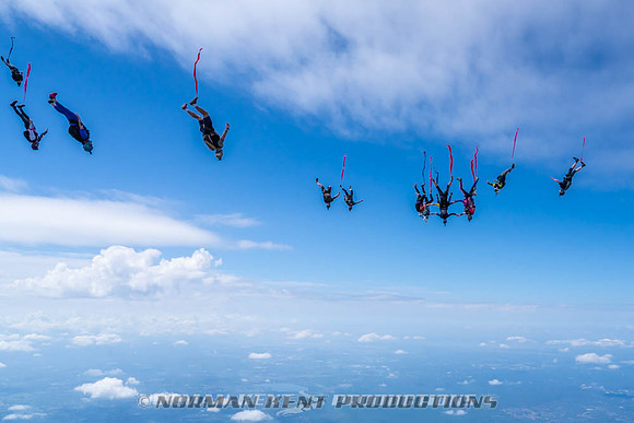 NKP-Flamingo Fest 2026-NKP09951