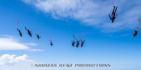 NKP-Flamingo Fest 2026-NKP09955