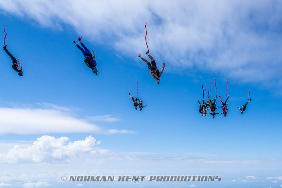 NKP-Flamingo Fest 2026-NKP09952