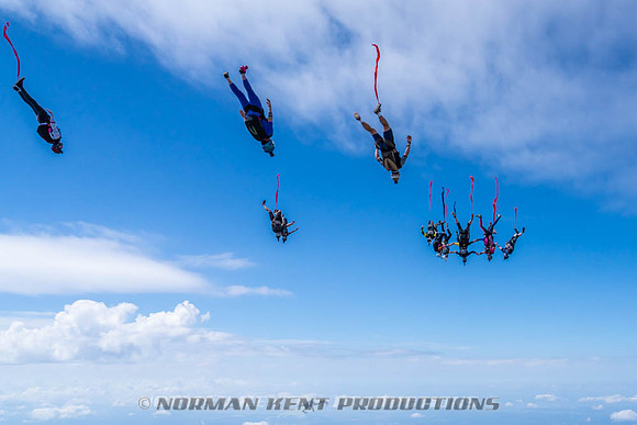 NKP-Flamingo Fest 2026-NKP09953