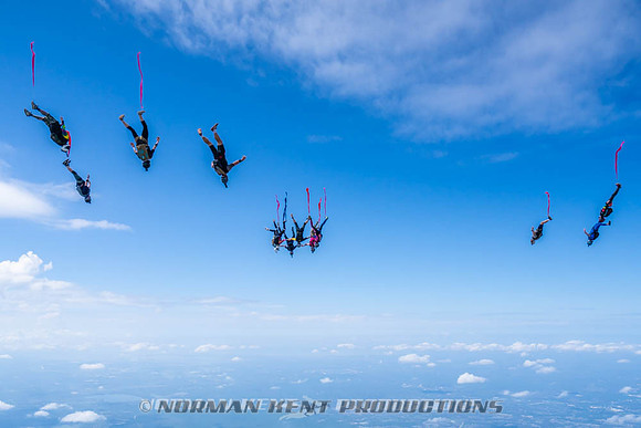 NKP-Flamingo Fest 2026-NKP09957