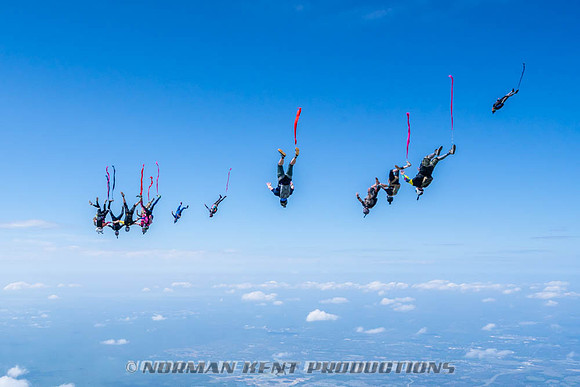 NKP-Flamingo Fest 2026-NKP09962