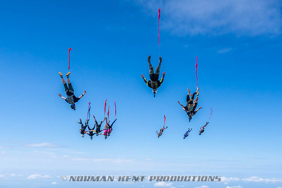 NKP-Flamingo Fest 2026-NKP09960