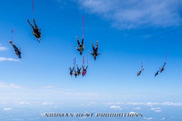 NKP-Flamingo Fest 2026-NKP09958