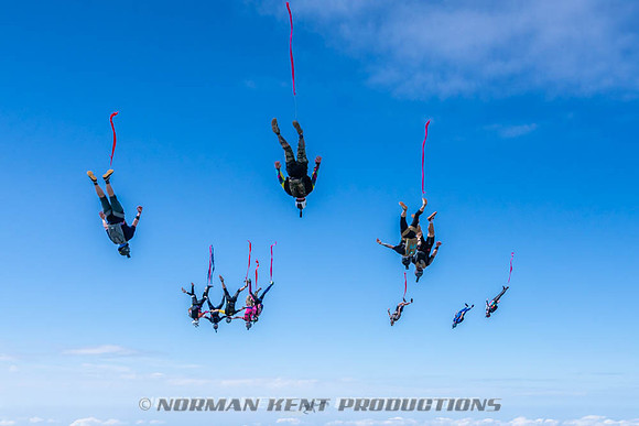 NKP-Flamingo Fest 2026-NKP09959