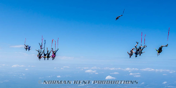 NKP-Flamingo Fest 2026-NKP09963