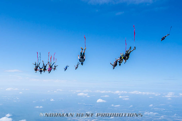NKP-Flamingo Fest 2026-NKP09961