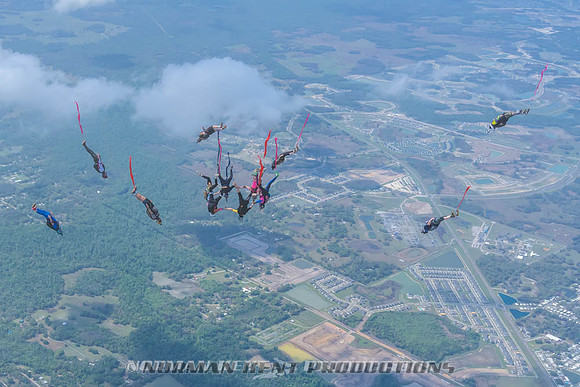 NKP-Flamingo Fest 2026-NKP09975