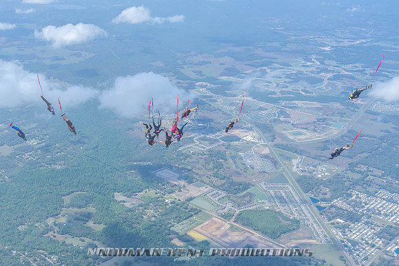 NKP-Flamingo Fest 2026-NKP09973