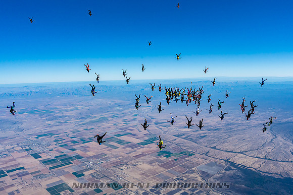 NKP-Project 19 Ladies Vertical Record by Norman Kent-NKP02084