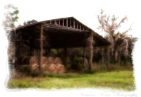 NKP-Nature 2011-9921-2