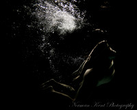 NK Rena pregnant 08-8009