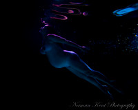 NK Rena pregnant 08-7991