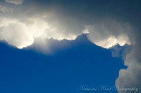 NKP-Nature-NKP-1020073