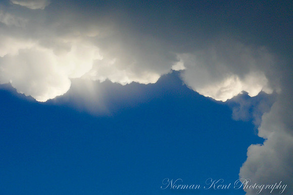 NKP-Nature-NKP-1020073