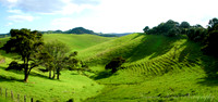 NKP-Nature-NKP-Honeymoon New Zeland-2004_0321_172214AA-C
