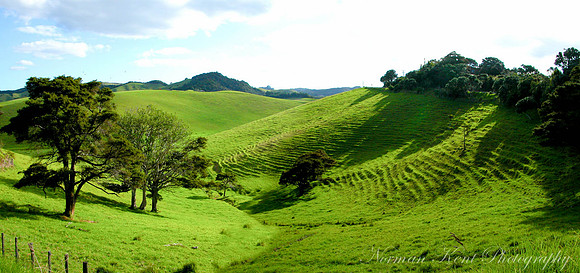 NKP-Nature-NKP-Honeymoon New Zeland-2004_0321_172214AA-C
