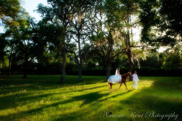NKP-Wedding-NKP-Renae and Billy Trash the Dress-7270