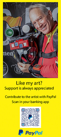 PayPal® QR code - custom for NKP