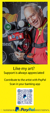 PayPal® QR code - custom for NKP