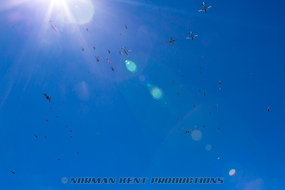 NKP-Summerfest 2015-5800