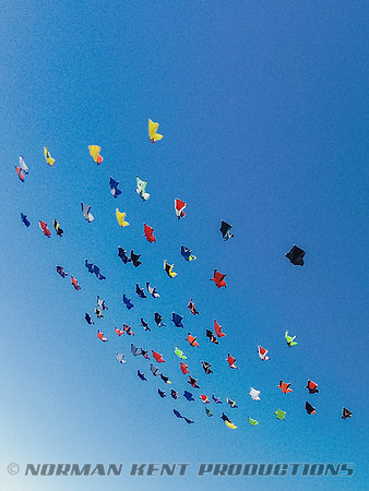 0101--NKP-Wingsuit Record 2015-0012773