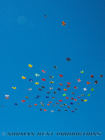 0135--NKP-Wingsuit Record 2015-000