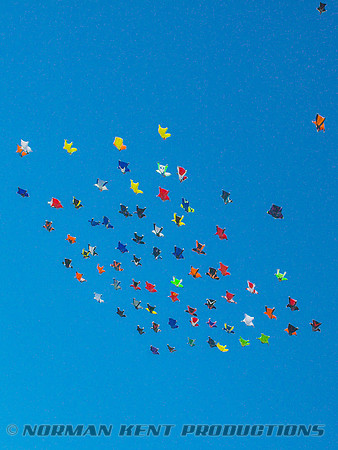 0136--NKP-Wingsuit Record 2015-8-65