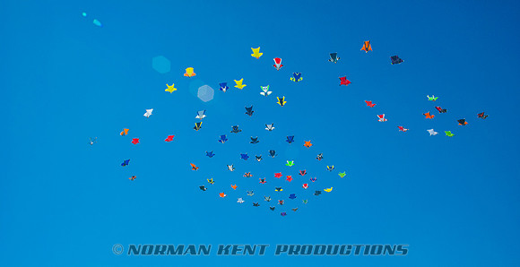 0148--NKP-Wingsuit Record 2015--67