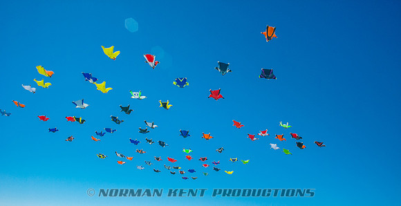 0147--NKP-Wingsuit Record 2015--65
