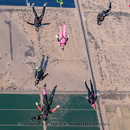 NKP-Project 19 Ladies Vertical Record by Norman Kent-NKP03121-3