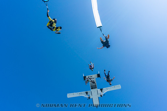NKP-Summerfest 2019-08258