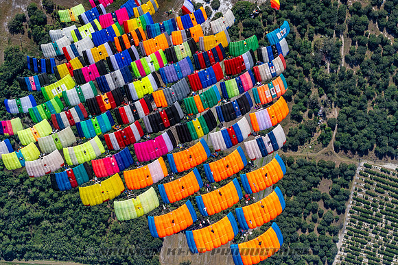 NKP-Canopy Formation Sequential Record 2024-NKP09906