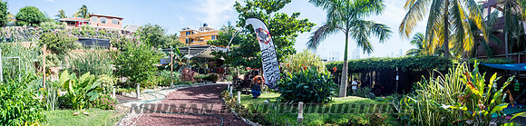 NKP-End Of The Year Boogie 2015 - Puerto Escondido-