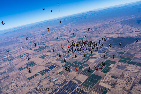 NKP-Project 19 Ladies Vertical Record by Norman Kent-NKP02921
