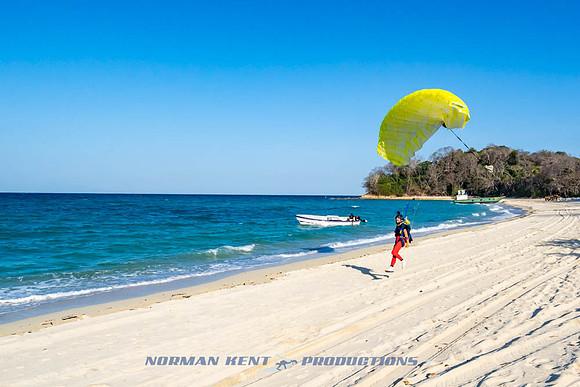 NKP-Pepe's Island 2025-NKP07672