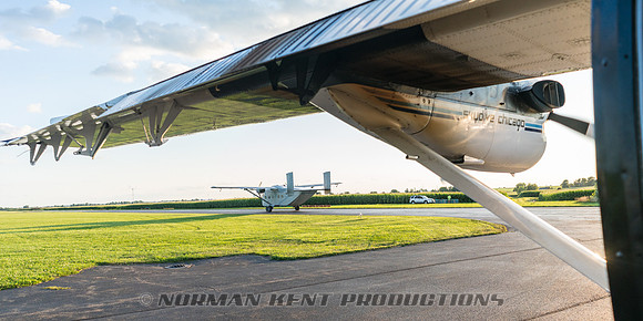 NKP-Summerfest 2017-09854