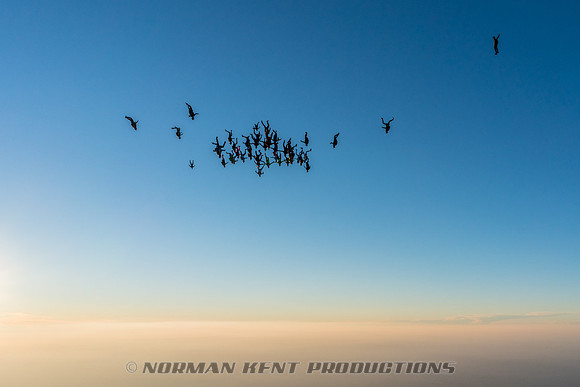 NKP-Summerfest 2017-09900