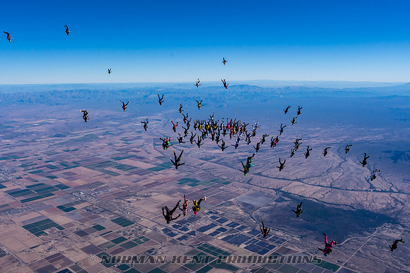NKP-Project 19 Ladies Vertical Record by Norman Kent-NKP02911