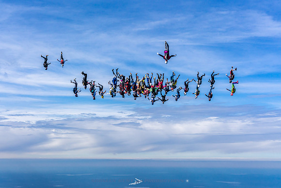 NKP-Florida State Vertical Record 47 Way-09183