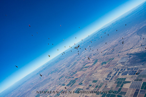 NKP-Project 19 Ladies Vertical Record by Norman Kent-NKP02905