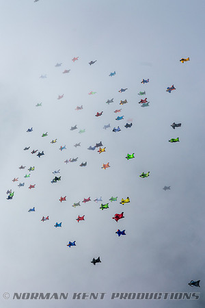 NKP-Wingsuit World Record 2018-01673-2