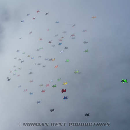 NKP-Wingsuit World Record 2018-01674-2