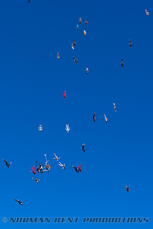 NKP-Summerfest 2015-837A7495