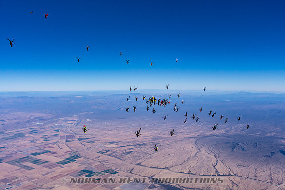 NKP-Project 19 Ladies Vertical Record by Norman Kent-NKP02331